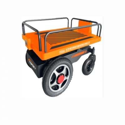 Small follow-up transportation robot