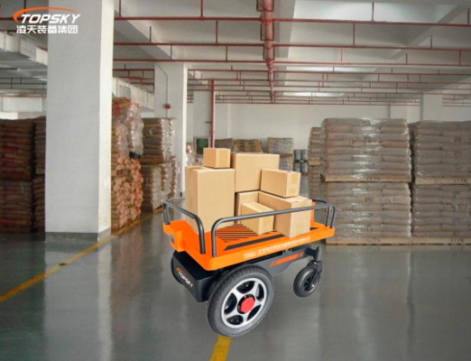 Small follow-up transportation robot