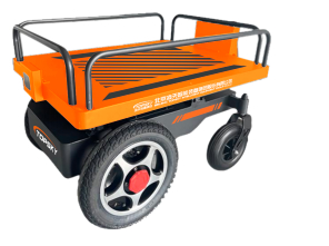 Small follow-up transportation robot