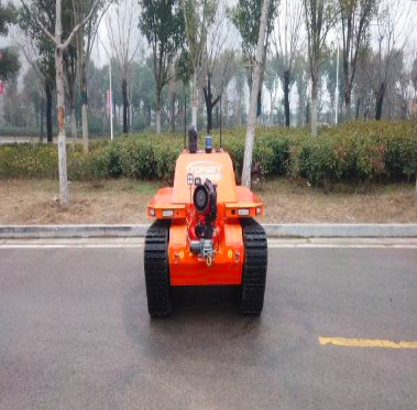 Fire Fighting Robot