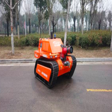 Fire Fighting Robot